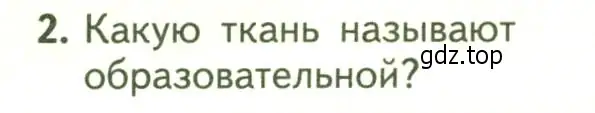 Условие номер 2 (страница 52) гдз по биологии 6 класс Пасечник, Суматохин, учебник