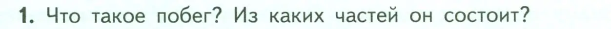 Условие номер 1 (страница 54) гдз по биологии 6 класс Пасечник, Суматохин, учебник