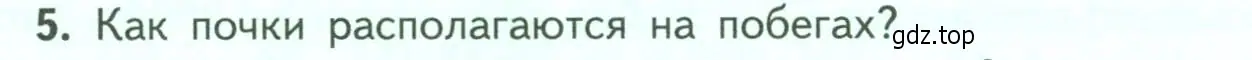 Условие номер 5 (страница 54) гдз по биологии 6 класс Пасечник, Суматохин, учебник