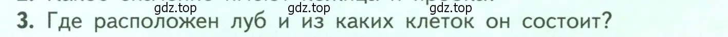 Условие номер 3 (страница 59) гдз по биологии 6 класс Пасечник, Суматохин, учебник