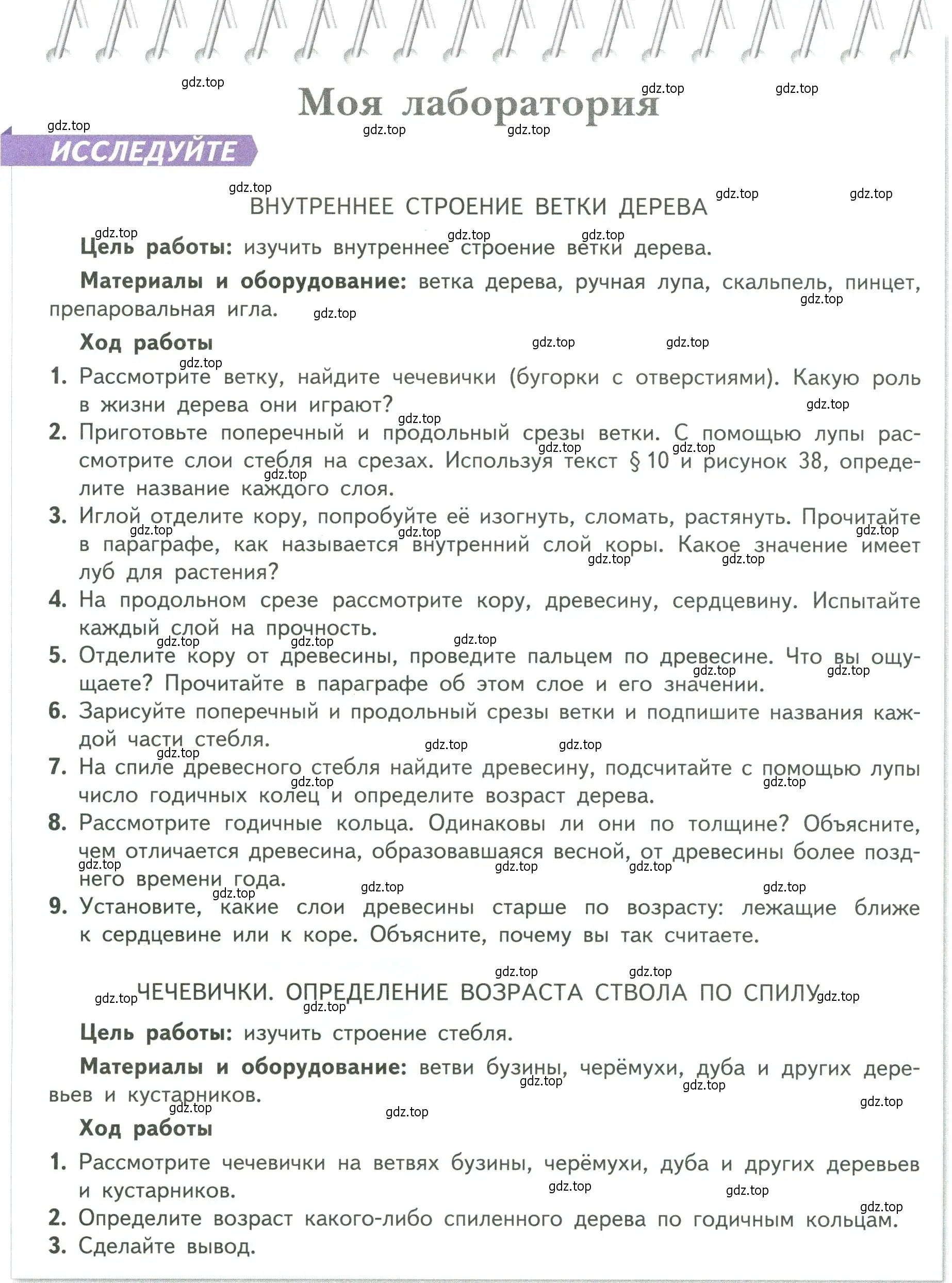 Условие  Моя лаборатория (страница 60) гдз по биологии 6 класс Пасечник, Суматохин, учебник