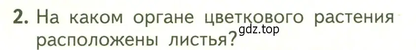 Условие номер 2 (страница 62) гдз по биологии 6 класс Пасечник, Суматохин, учебник