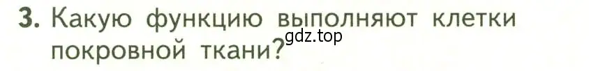 Условие номер 3 (страница 62) гдз по биологии 6 класс Пасечник, Суматохин, учебник