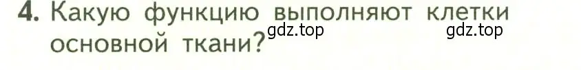 Условие номер 4 (страница 62) гдз по биологии 6 класс Пасечник, Суматохин, учебник