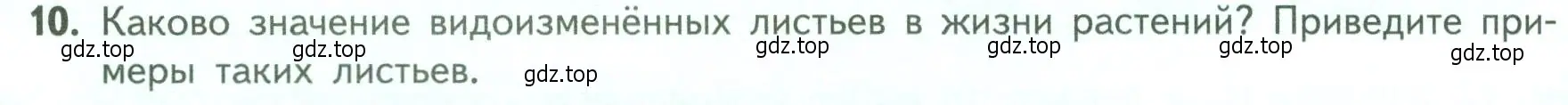 Условие номер 10 (страница 66) гдз по биологии 6 класс Пасечник, Суматохин, учебник