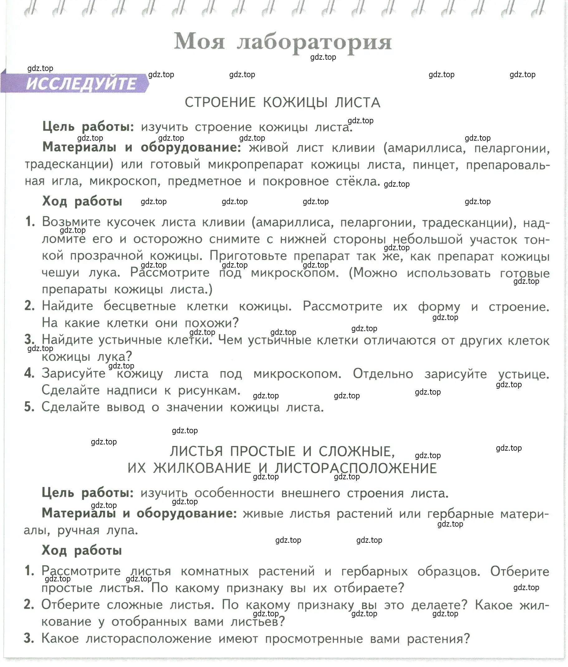 Условие  Моя лаборатория (страница 67) гдз по биологии 6 класс Пасечник, Суматохин, учебник