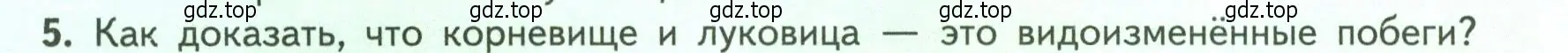 Условие номер 5 (страница 72) гдз по биологии 6 класс Пасечник, Суматохин, учебник