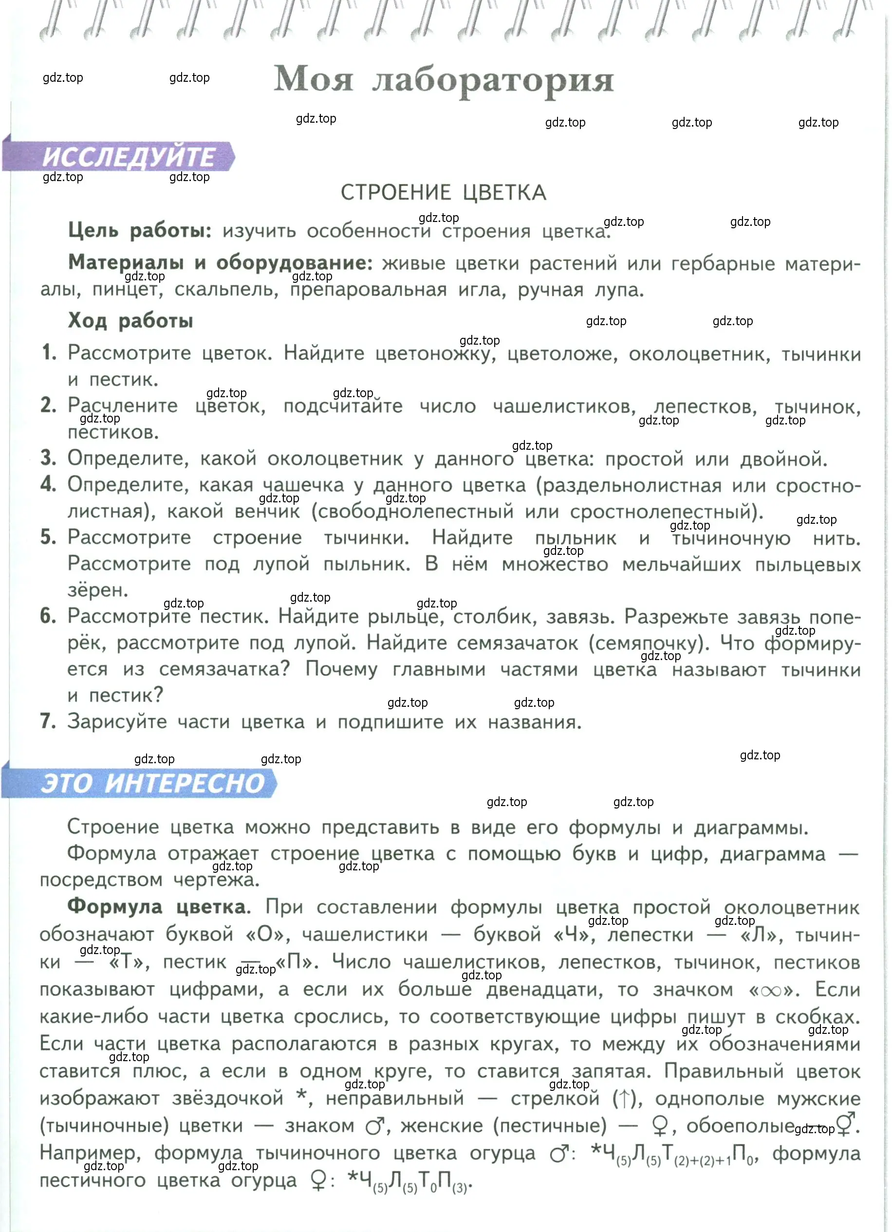 Условие  Моя лаборатория (страница 77) гдз по биологии 6 класс Пасечник, Суматохин, учебник