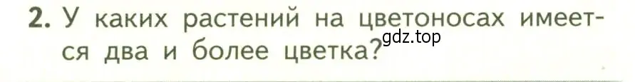 Условие номер 2 (страница 78) гдз по биологии 6 класс Пасечник, Суматохин, учебник