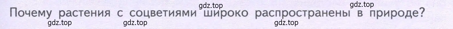 Условие  Подумайте! (страница 79) гдз по биологии 6 класс Пасечник, Суматохин, учебник