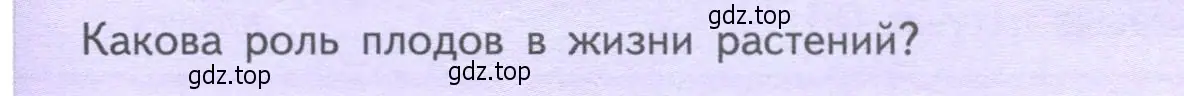 Условие  Подумайте! (страница 87) гдз по биологии 6 класс Пасечник, Суматохин, учебник