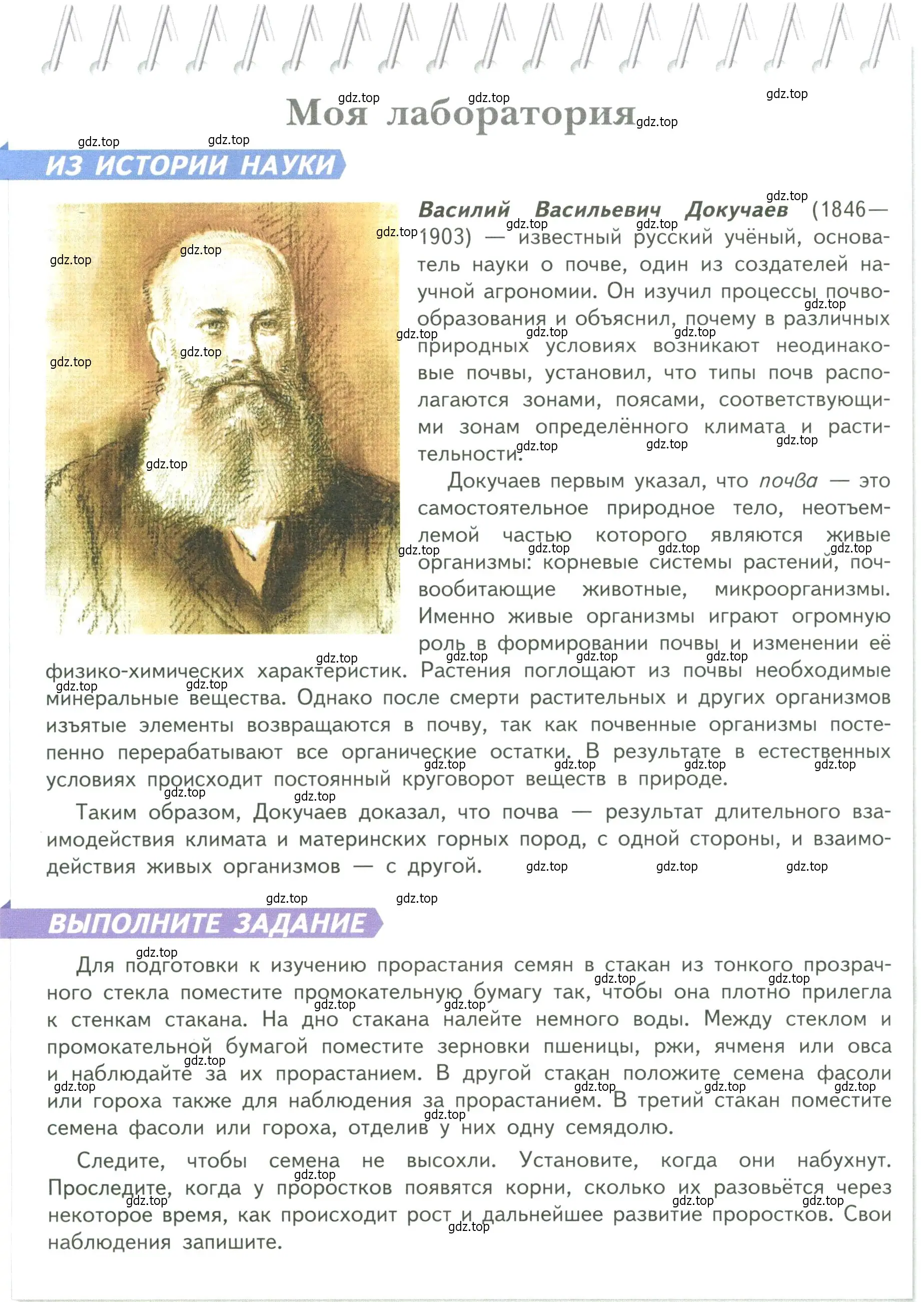 Условие  Моя лаборатория (страница 98) гдз по биологии 6 класс Пасечник, Суматохин, учебник