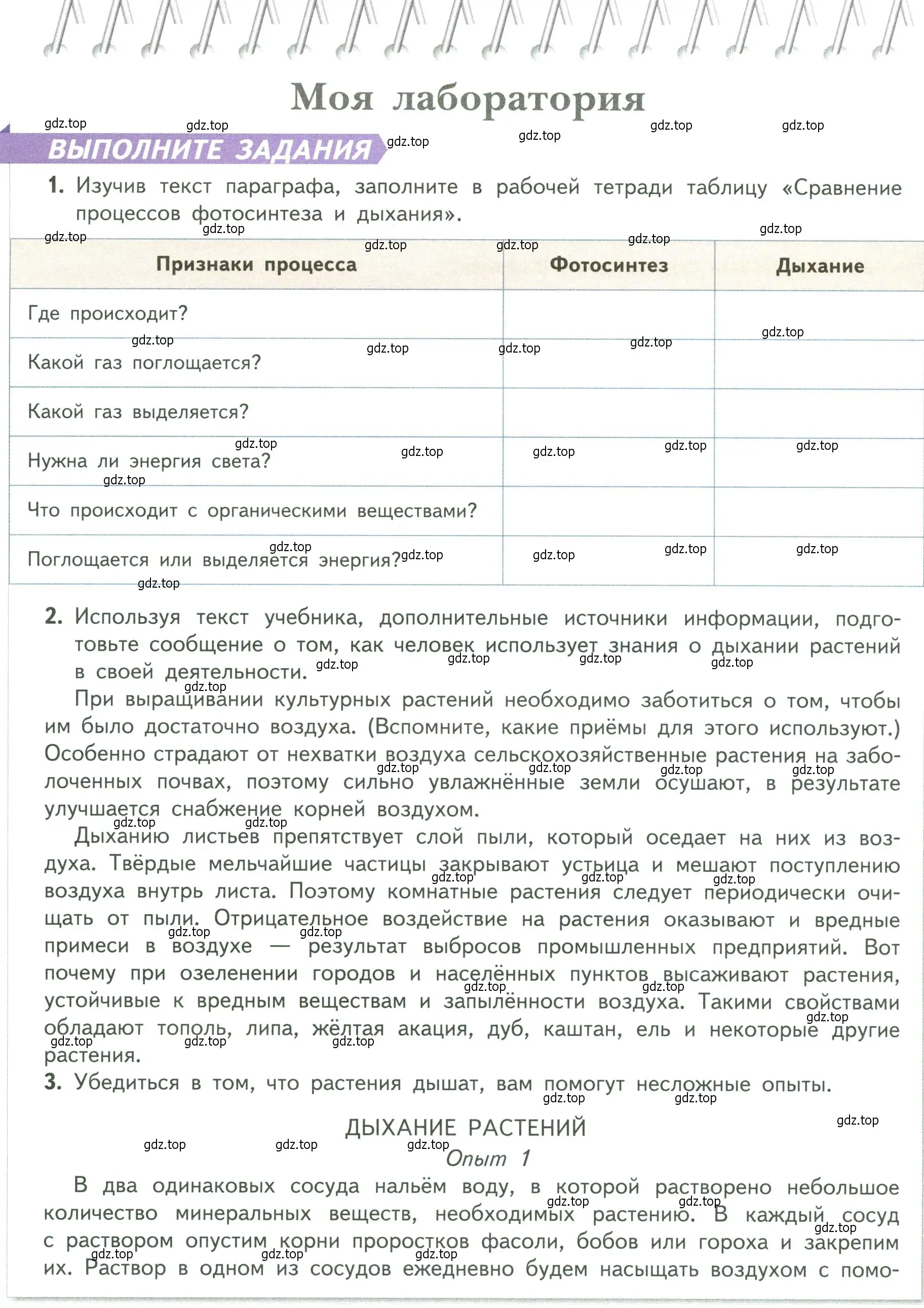 Условие  Моя лаборатория (страница 108) гдз по биологии 6 класс Пасечник, Суматохин, учебник