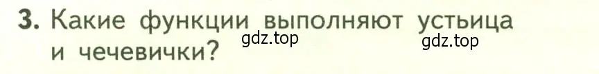 Условие номер 3 (страница 116) гдз по биологии 6 класс Пасечник, Суматохин, учебник