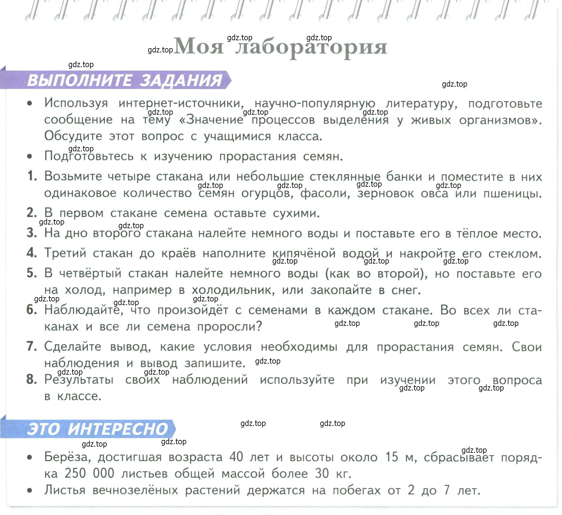 Условие  Моя лаборатория (страница 119) гдз по биологии 6 класс Пасечник, Суматохин, учебник