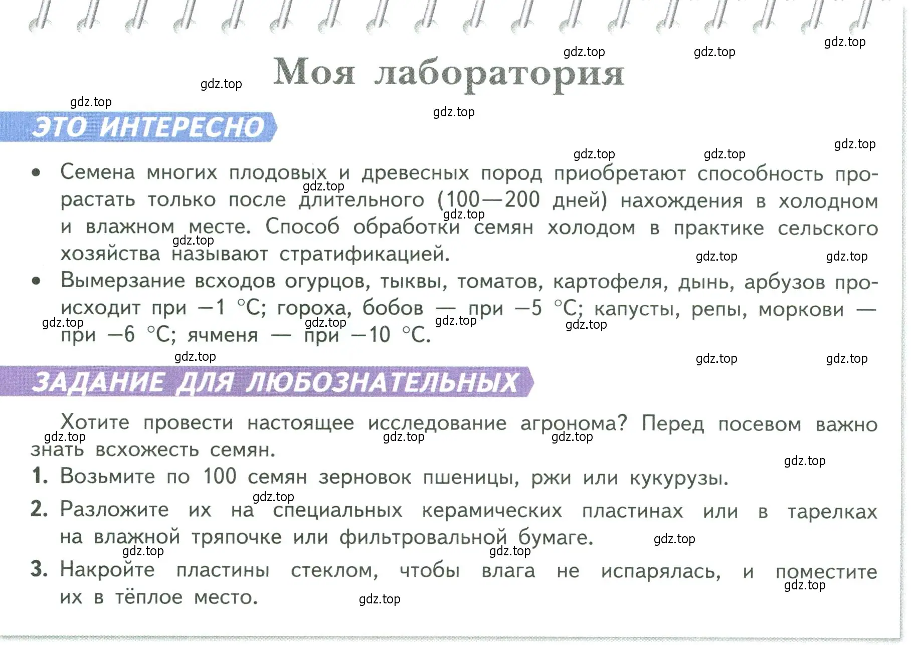 Условие  Моя лаборатория (страница 124) гдз по биологии 6 класс Пасечник, Суматохин, учебник