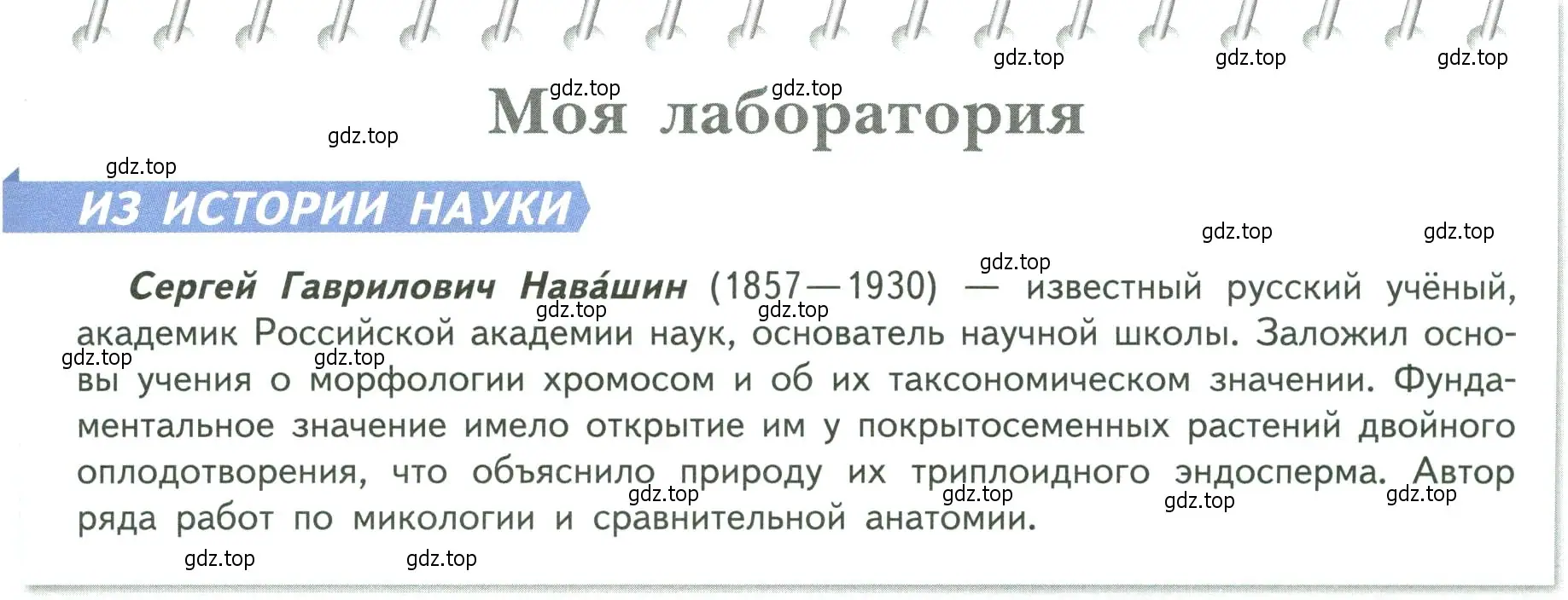 Условие  Моя лаборатория (страница 133) гдз по биологии 6 класс Пасечник, Суматохин, учебник