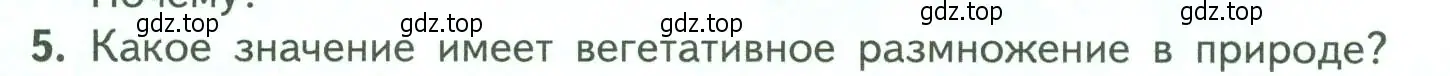 Условие номер 5 (страница 142) гдз по биологии 6 класс Пасечник, Суматохин, учебник