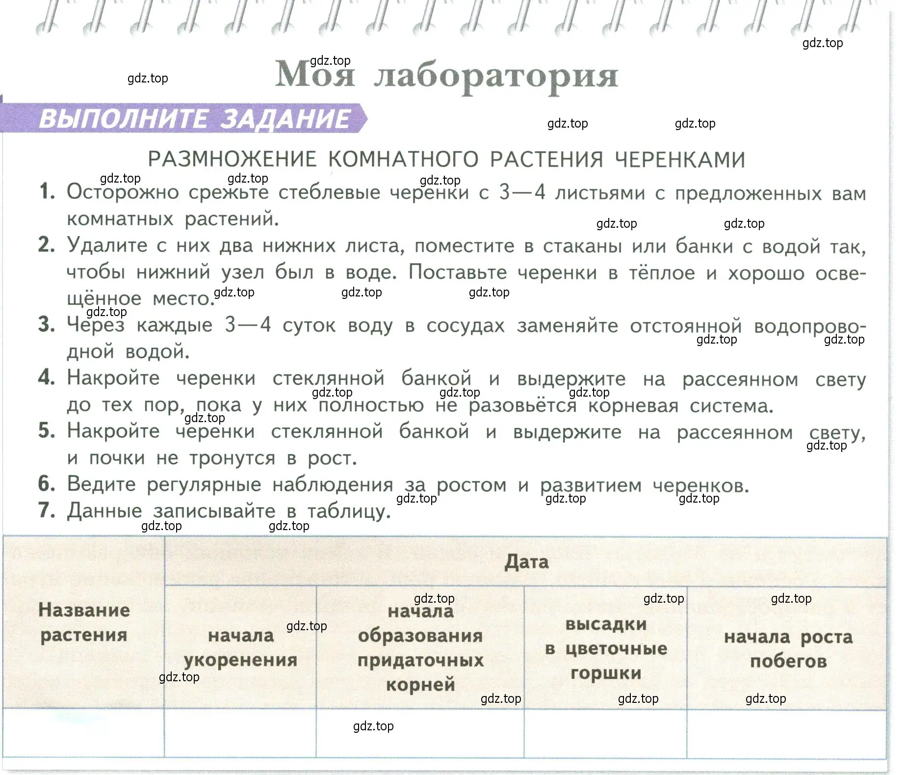 Условие  Моя лаборатория (страница 142) гдз по биологии 6 класс Пасечник, Суматохин, учебник