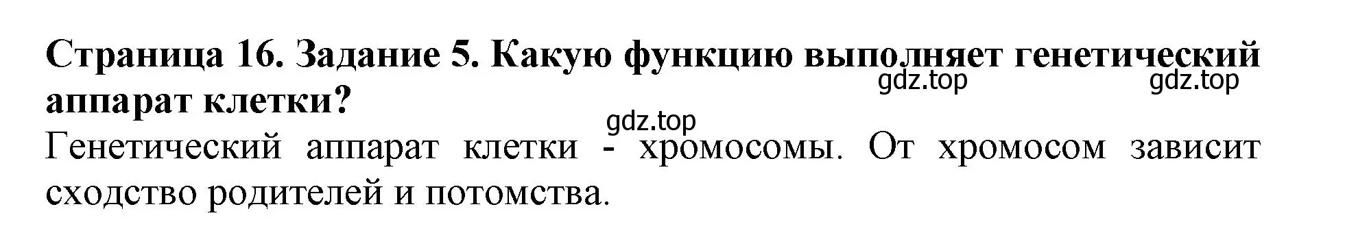 Решение номер 5 (страница 16) гдз по биологии 6 класс Пасечник, Суматохин, учебник