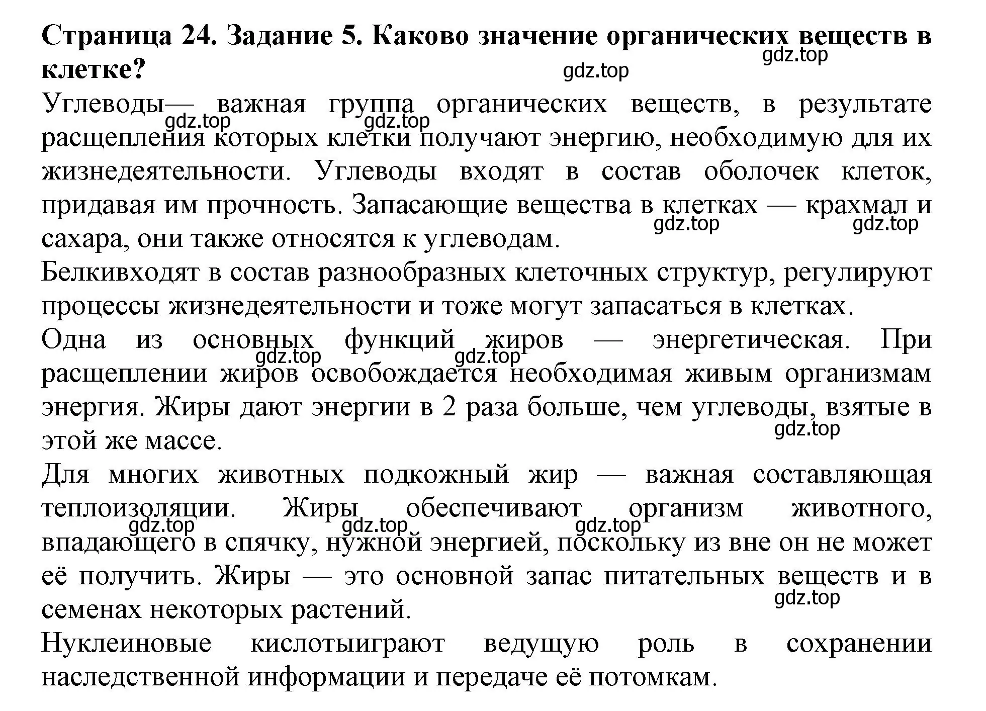 Решение номер 5 (страница 24) гдз по биологии 6 класс Пасечник, Суматохин, учебник