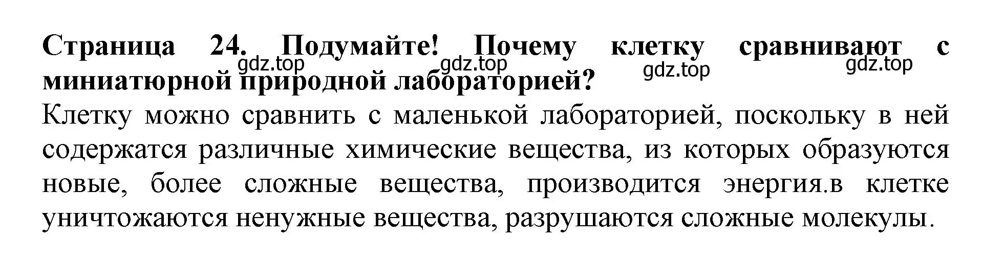 Решение  Подумайте! (страница 24) гдз по биологии 6 класс Пасечник, Суматохин, учебник