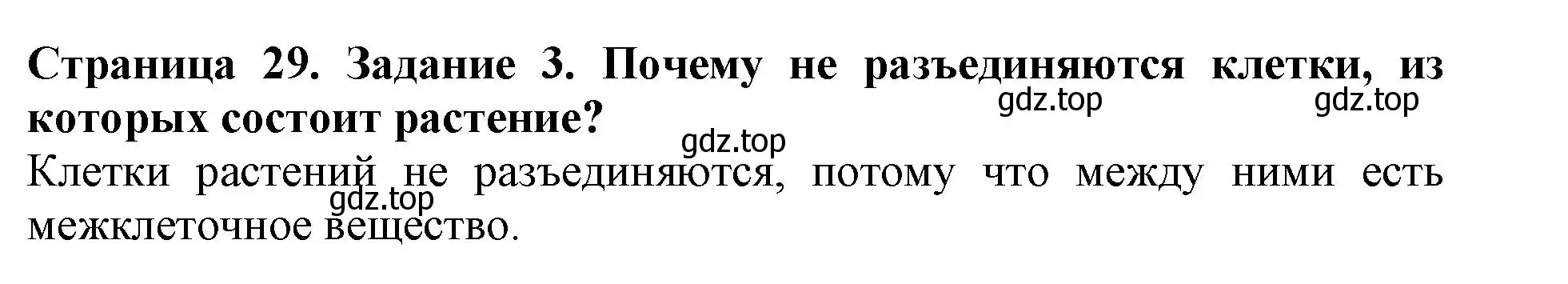 Решение номер 3 (страница 29) гдз по биологии 6 класс Пасечник, Суматохин, учебник