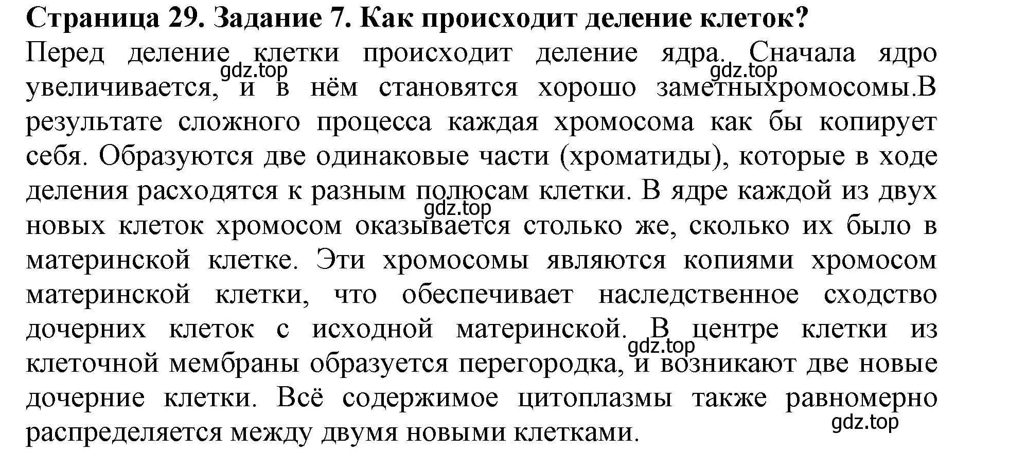 Решение номер 7 (страница 29) гдз по биологии 6 класс Пасечник, Суматохин, учебник