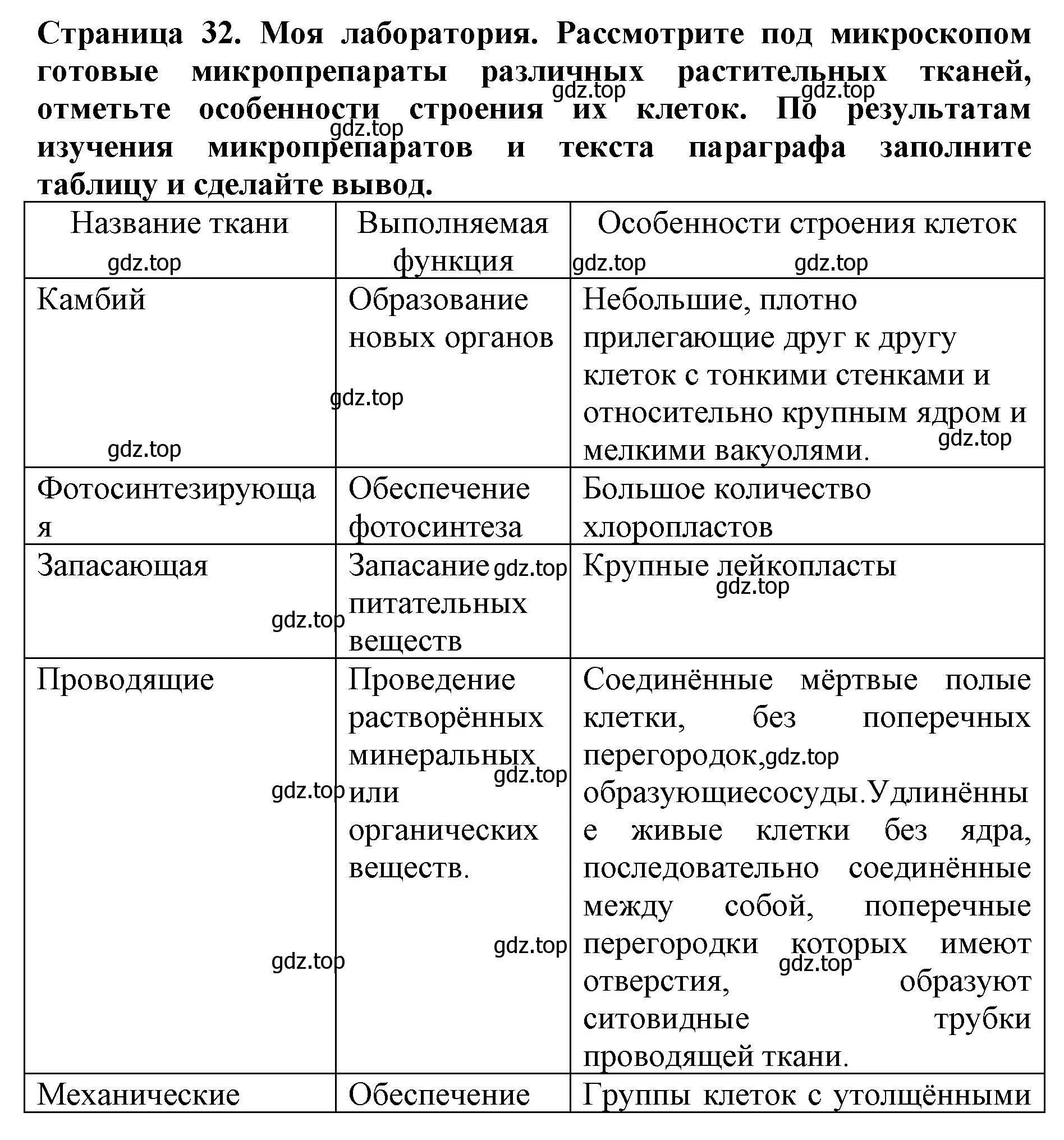 Решение  Моя лаборатория (страница 32) гдз по биологии 6 класс Пасечник, Суматохин, учебник