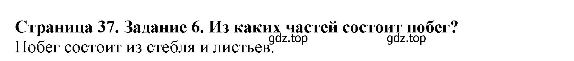 Решение номер 6 (страница 37) гдз по биологии 6 класс Пасечник, Суматохин, учебник