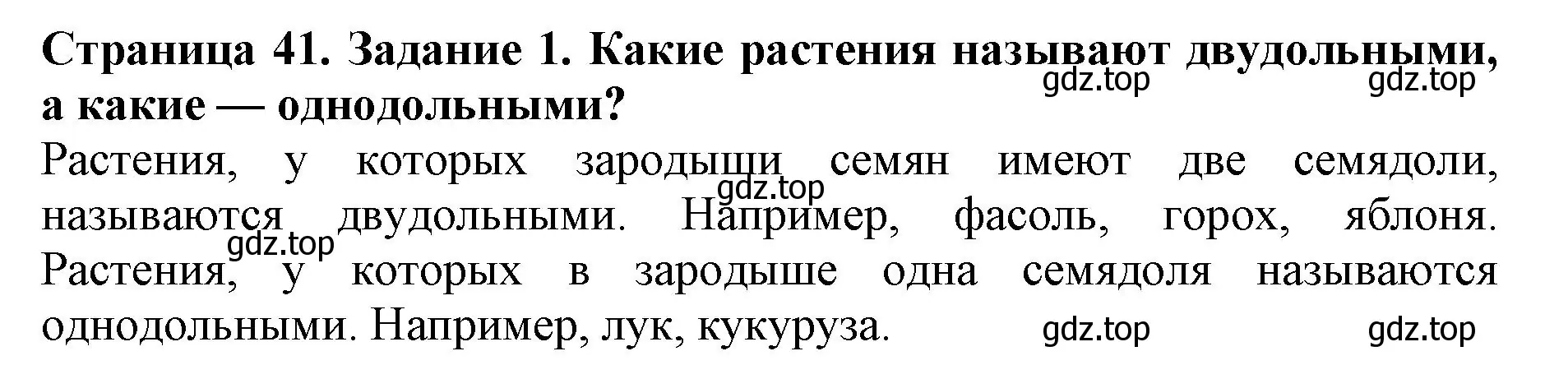 Решение номер 1 (страница 41) гдз по биологии 6 класс Пасечник, Суматохин, учебник