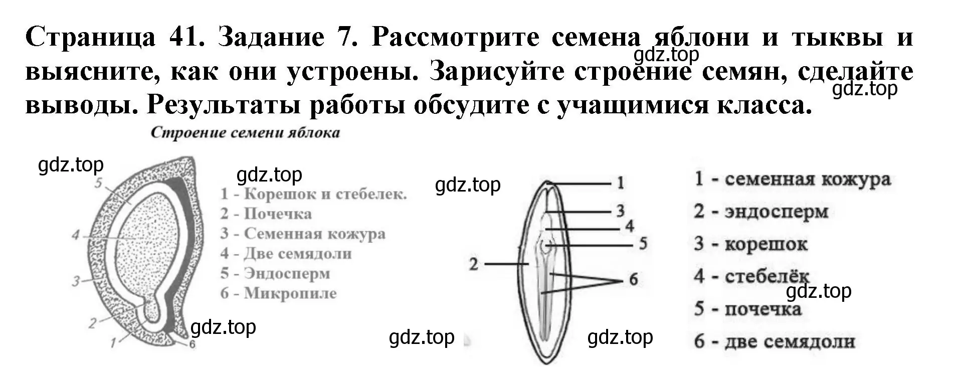 Решение номер 7 (страница 41) гдз по биологии 6 класс Пасечник, Суматохин, учебник