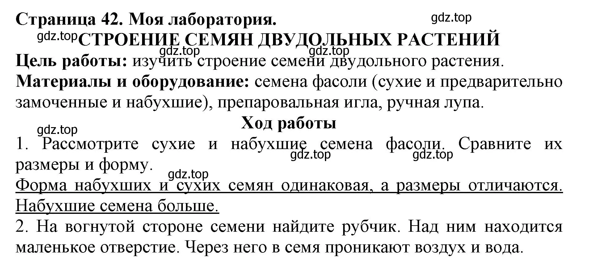 Решение  Моя лаборатория (страница 42) гдз по биологии 6 класс Пасечник, Суматохин, учебник