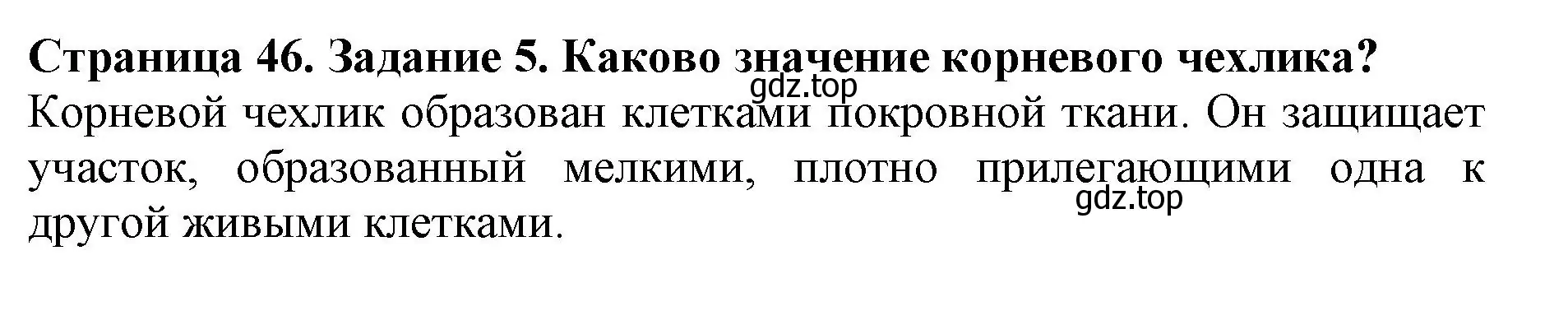 Решение номер 5 (страница 46) гдз по биологии 6 класс Пасечник, Суматохин, учебник