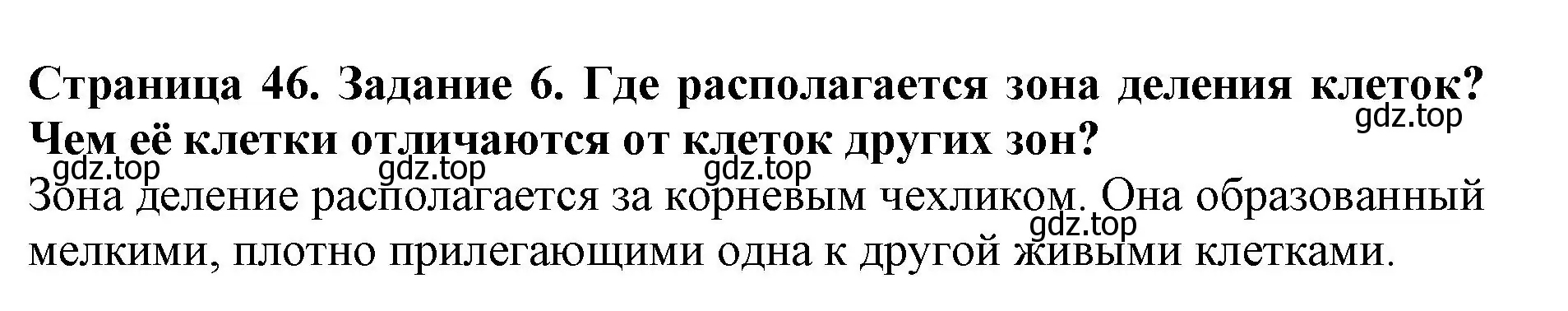 Решение номер 6 (страница 46) гдз по биологии 6 класс Пасечник, Суматохин, учебник