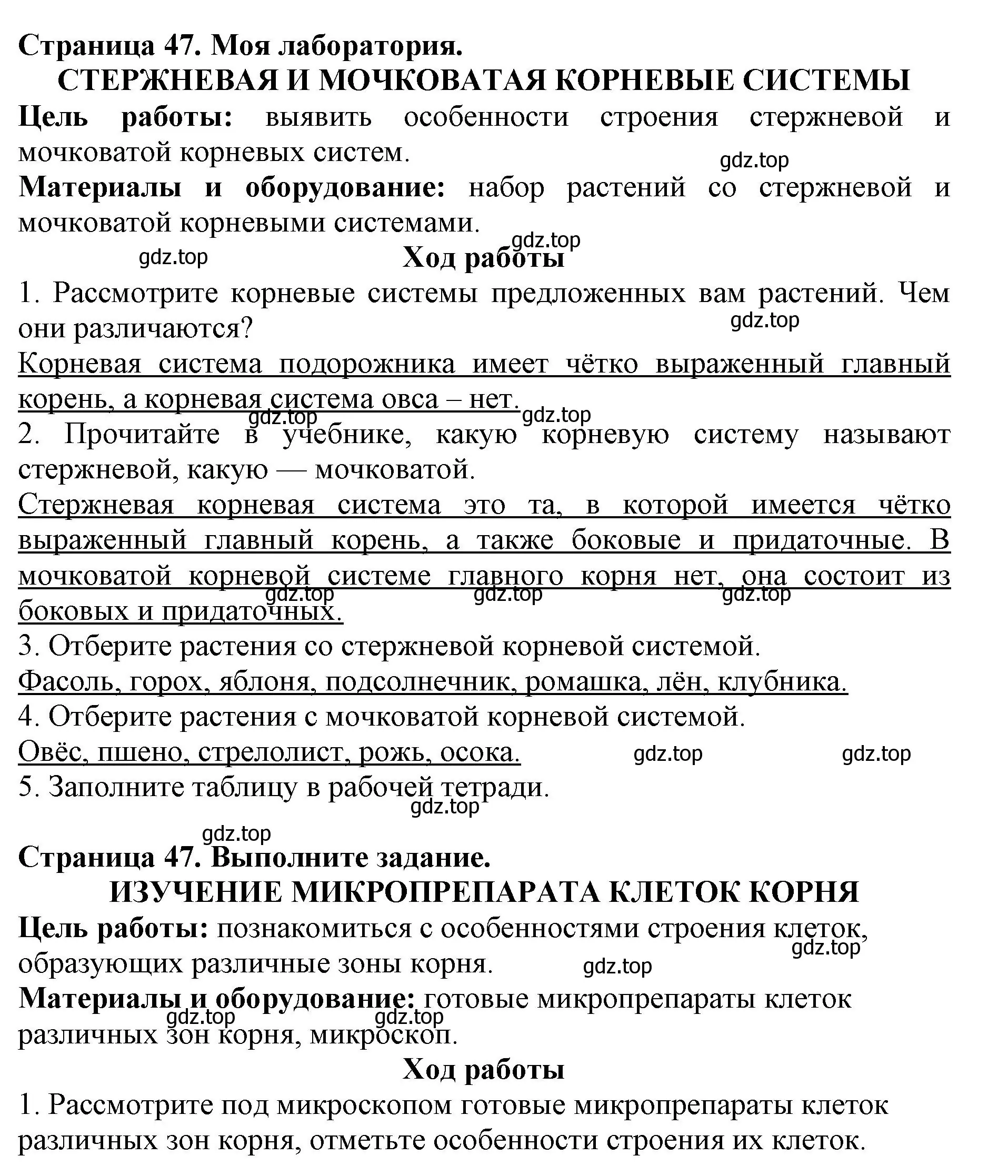 Решение  Моя лаборатория (страница 47) гдз по биологии 6 класс Пасечник, Суматохин, учебник