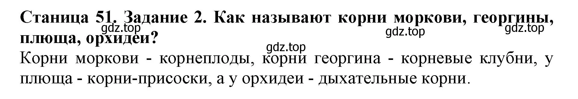 Решение номер 2 (страница 51) гдз по биологии 6 класс Пасечник, Суматохин, учебник