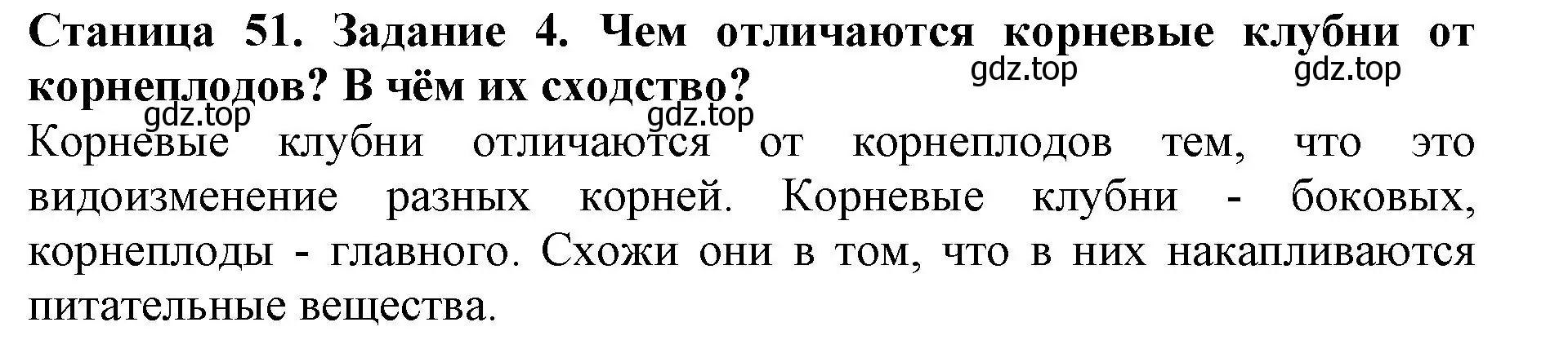 Решение номер 4 (страница 51) гдз по биологии 6 класс Пасечник, Суматохин, учебник