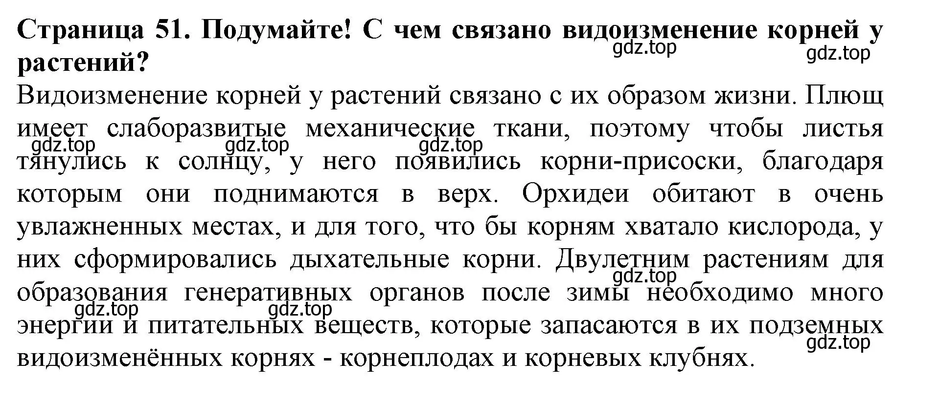 Решение  Подумайте! (страница 51) гдз по биологии 6 класс Пасечник, Суматохин, учебник