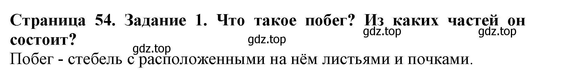 Решение номер 1 (страница 54) гдз по биологии 6 класс Пасечник, Суматохин, учебник