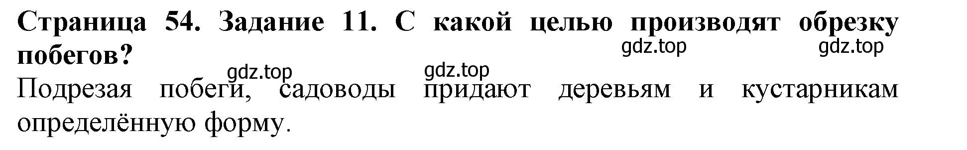 Решение номер 11 (страница 54) гдз по биологии 6 класс Пасечник, Суматохин, учебник