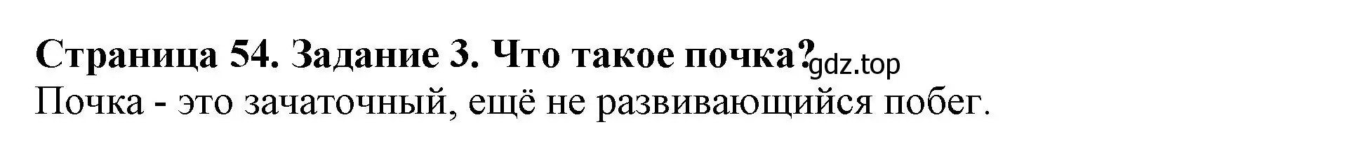 Решение номер 3 (страница 54) гдз по биологии 6 класс Пасечник, Суматохин, учебник