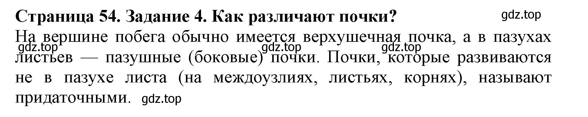 Решение номер 4 (страница 54) гдз по биологии 6 класс Пасечник, Суматохин, учебник