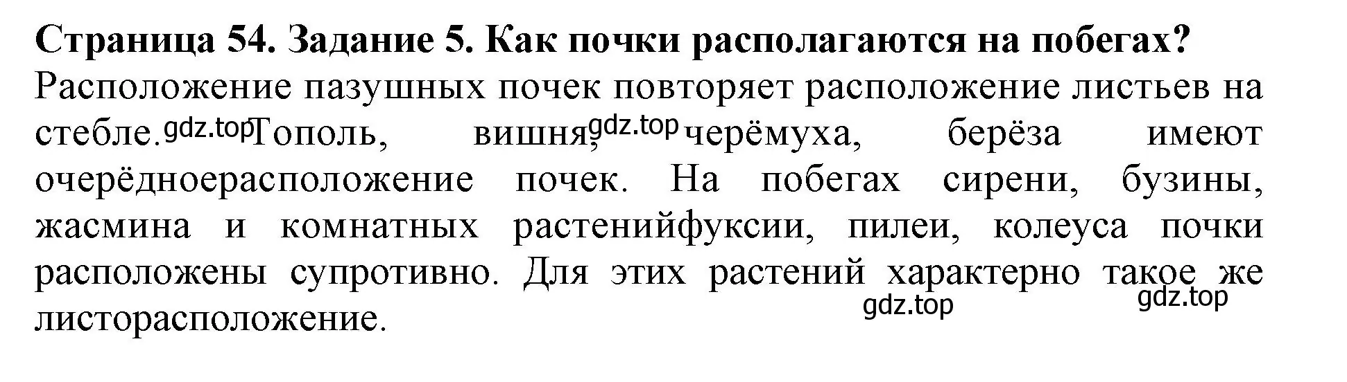 Решение номер 5 (страница 54) гдз по биологии 6 класс Пасечник, Суматохин, учебник