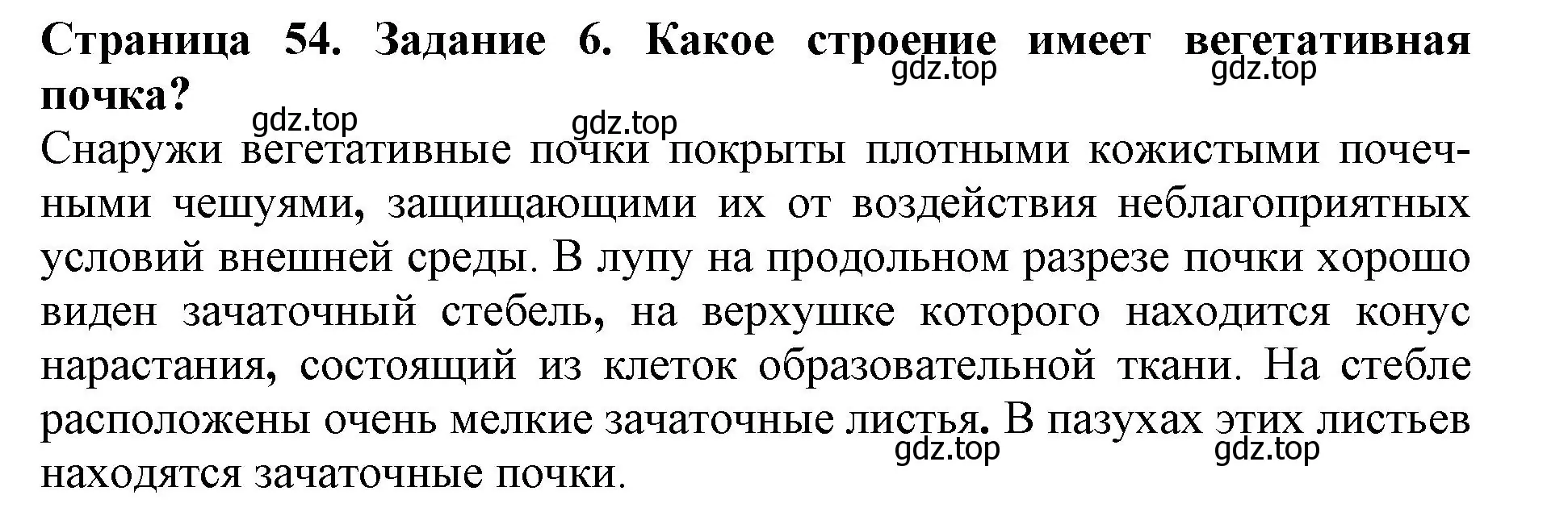 Решение номер 6 (страница 54) гдз по биологии 6 класс Пасечник, Суматохин, учебник