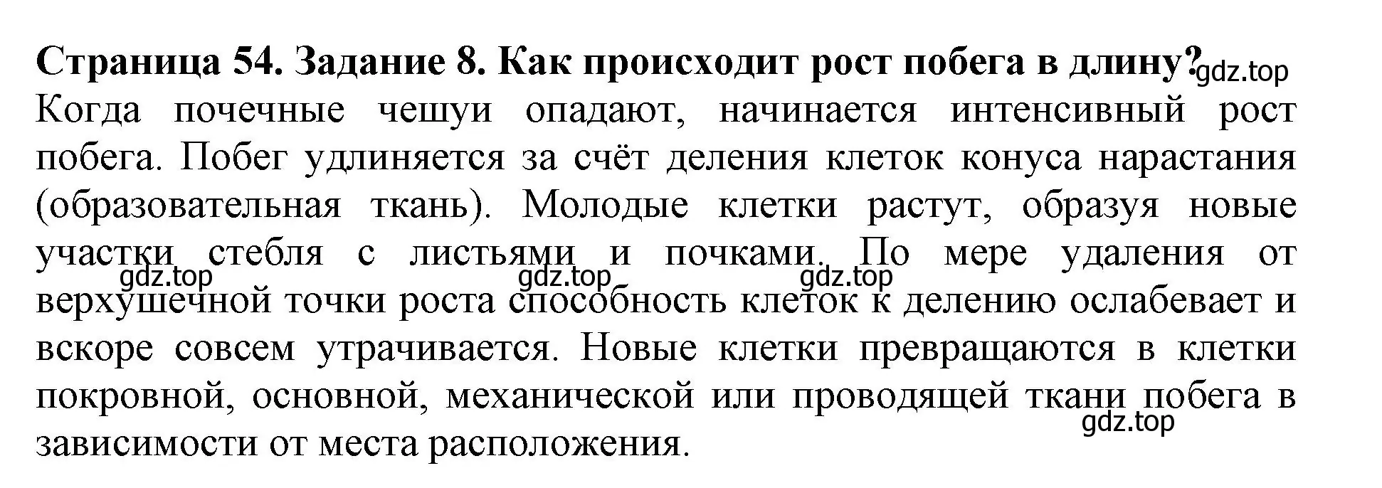 Решение номер 8 (страница 54) гдз по биологии 6 класс Пасечник, Суматохин, учебник