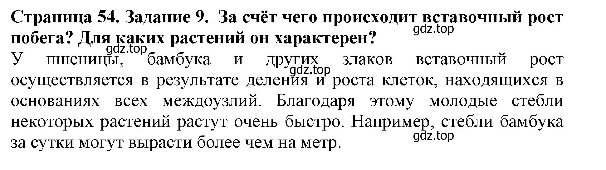 Решение номер 9 (страница 54) гдз по биологии 6 класс Пасечник, Суматохин, учебник