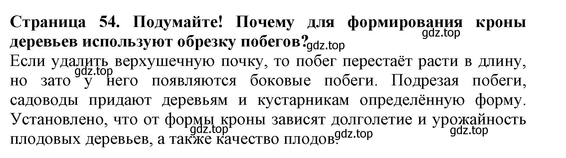 Решение  Подумайте! (страница 54) гдз по биологии 6 класс Пасечник, Суматохин, учебник