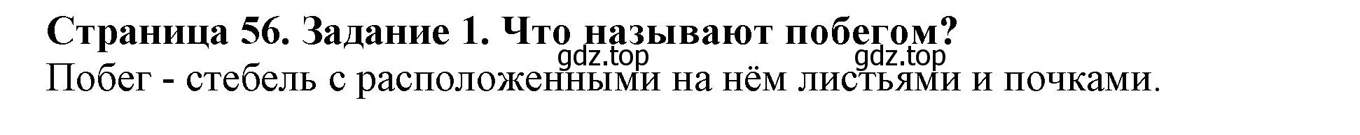 Решение номер 1 (страница 56) гдз по биологии 6 класс Пасечник, Суматохин, учебник