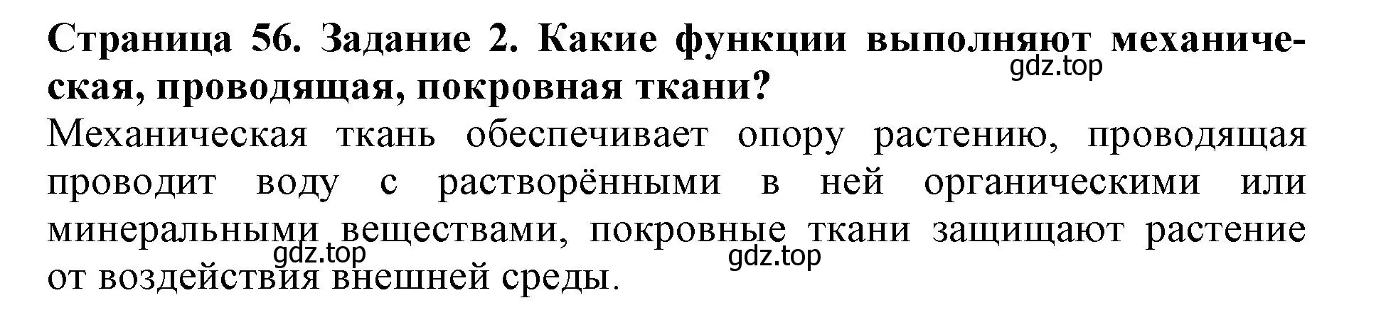 Решение номер 2 (страница 56) гдз по биологии 6 класс Пасечник, Суматохин, учебник